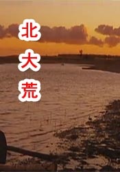 日韩区